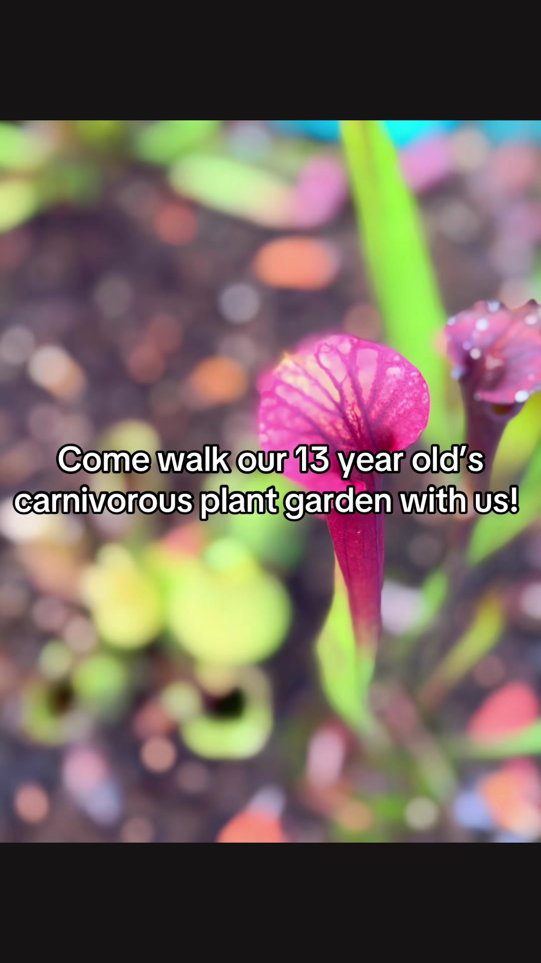 @ThreeWildSprouts
