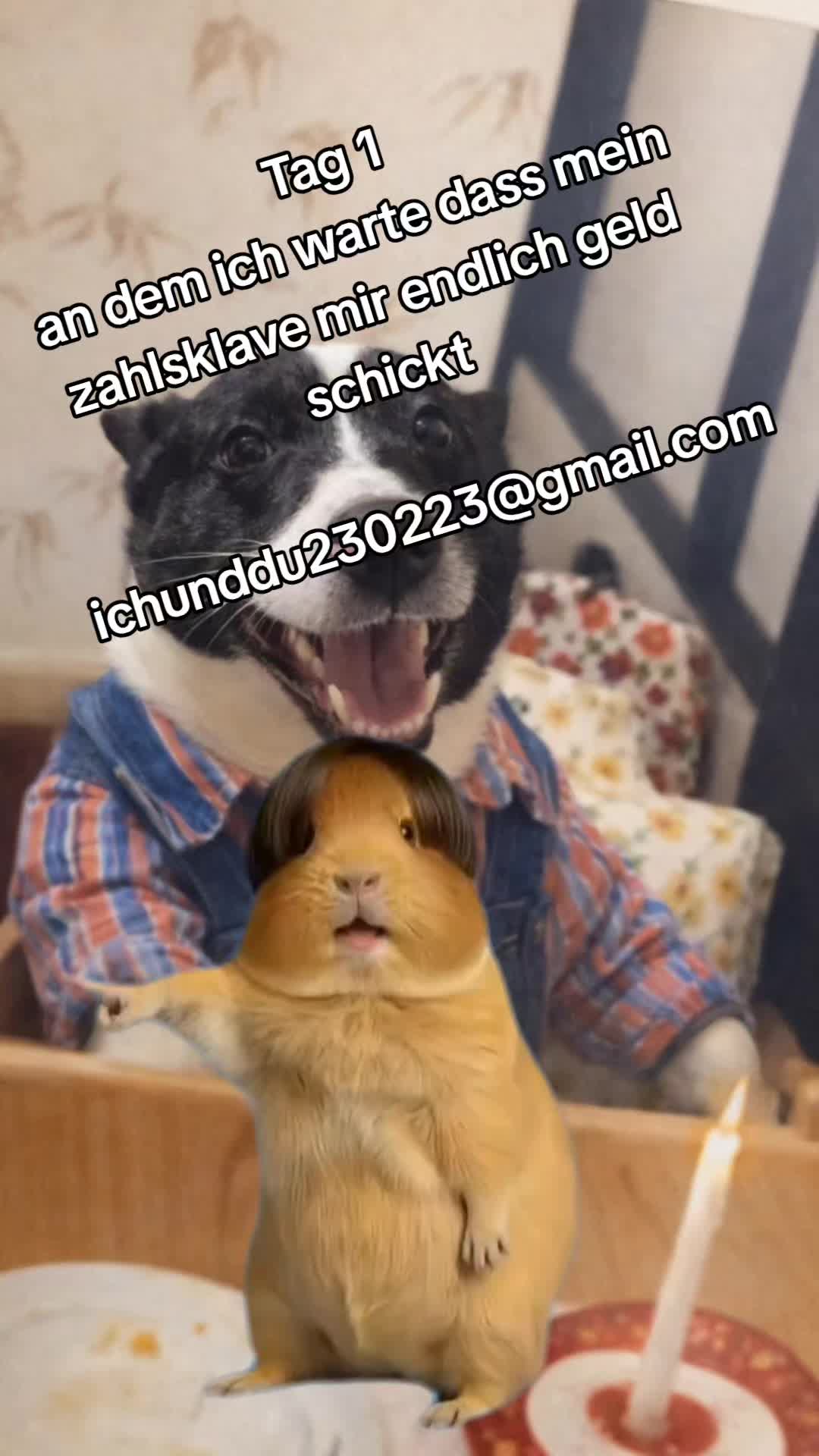 @Steffy1802