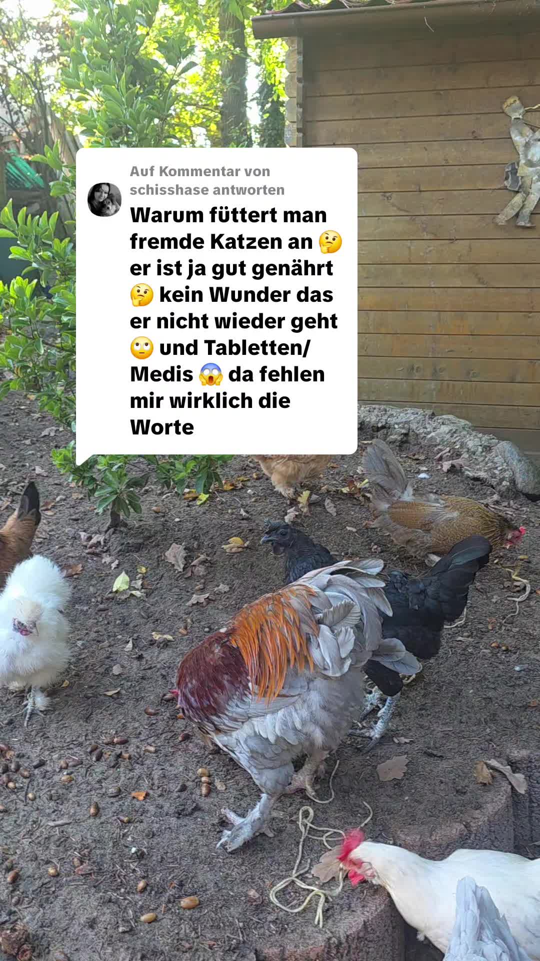 @Janine&Schatzi die echten