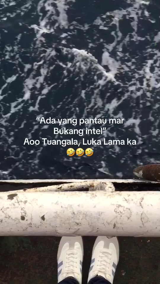@EnjiLyna🐼