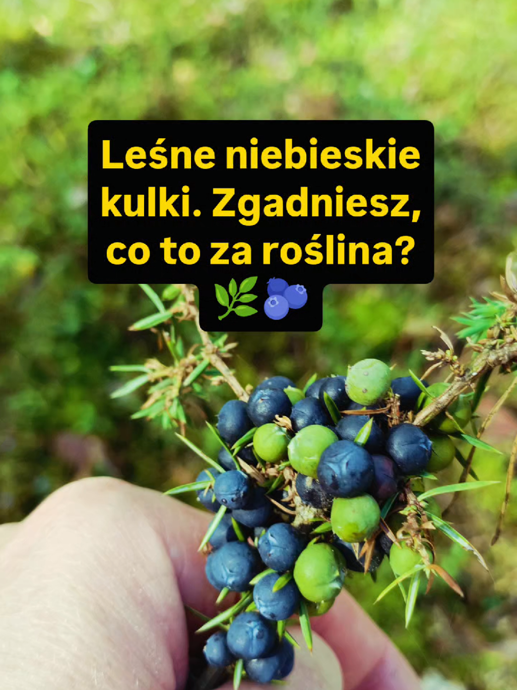 @Chwila Na Naturę🌿