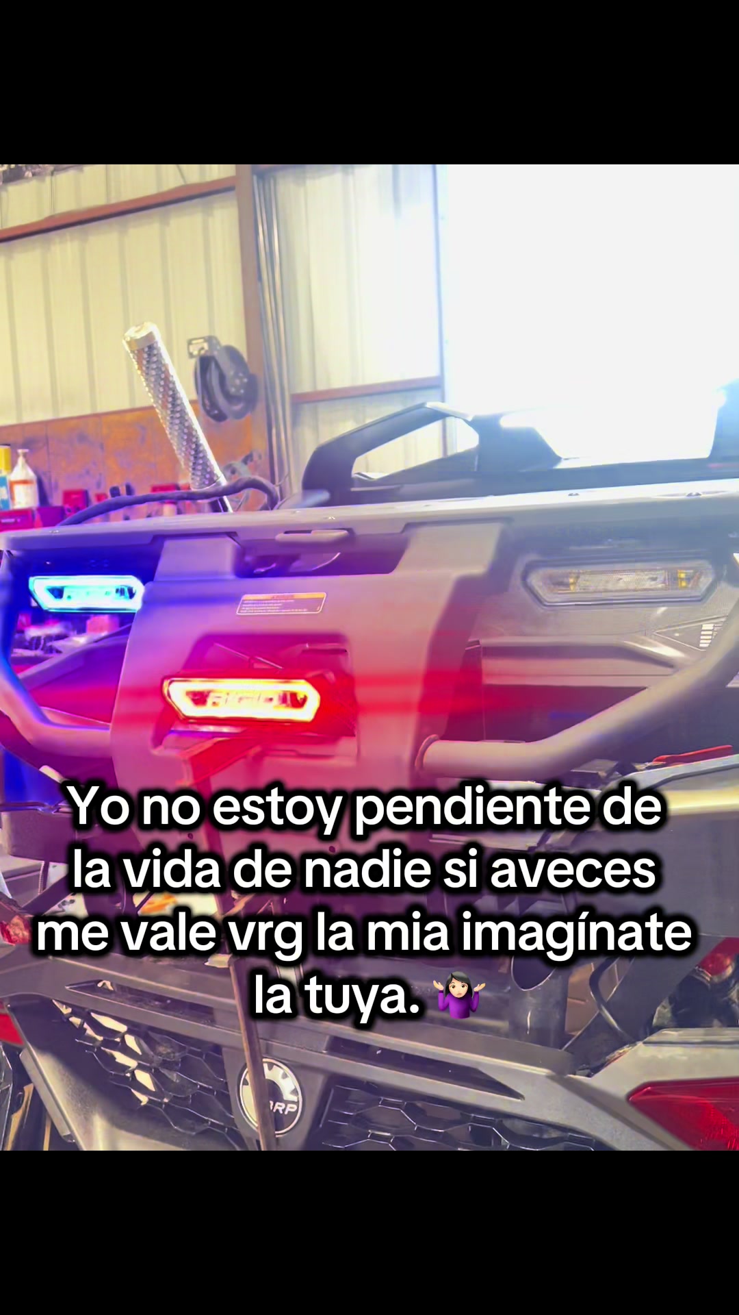 @José Omar Marques