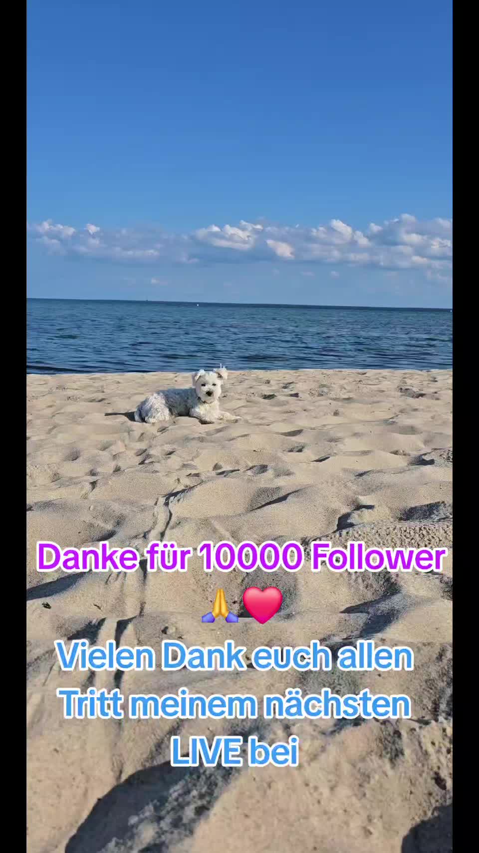 @Lucylein