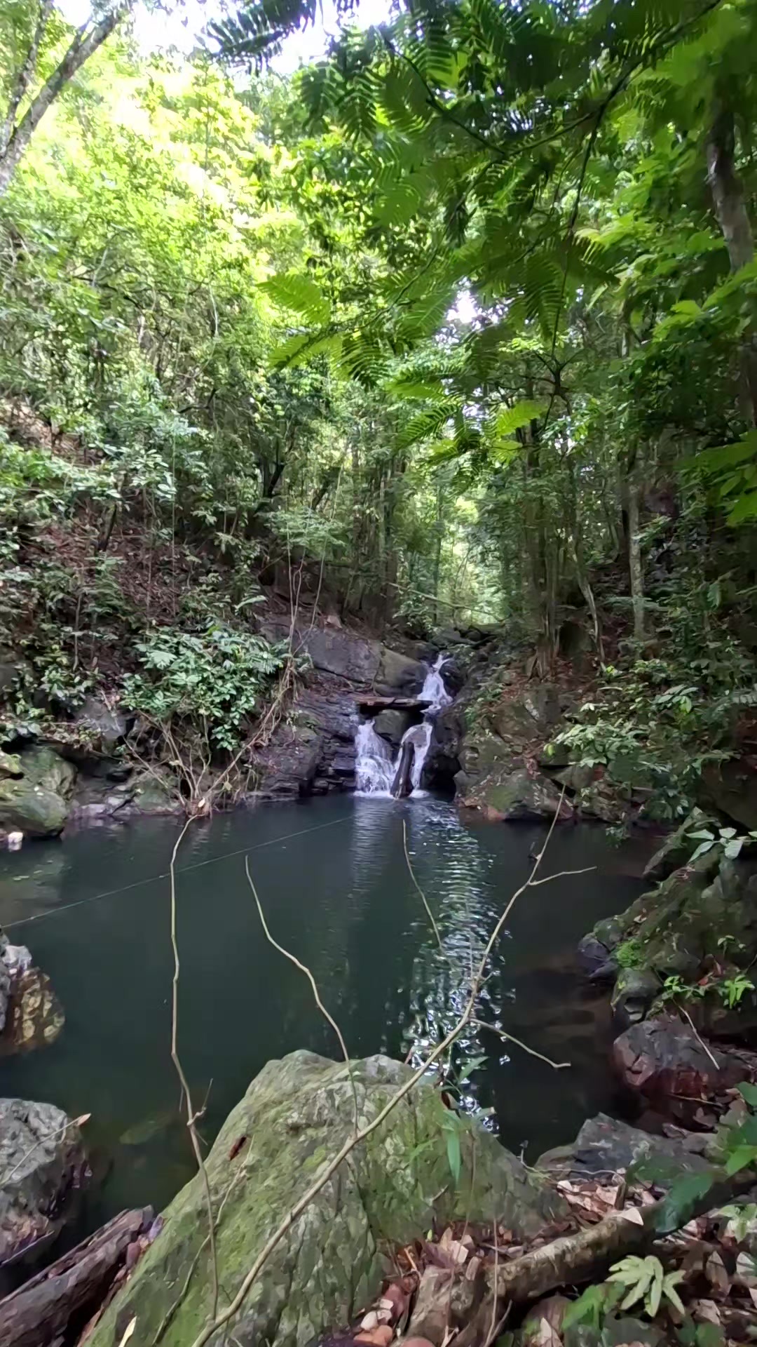 @HikeLife Adventures