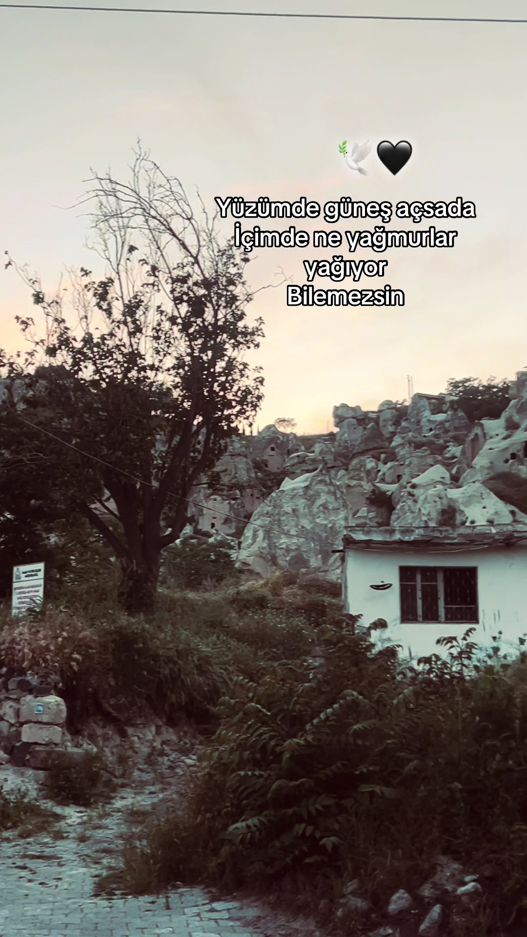 @ÇAĞLAR