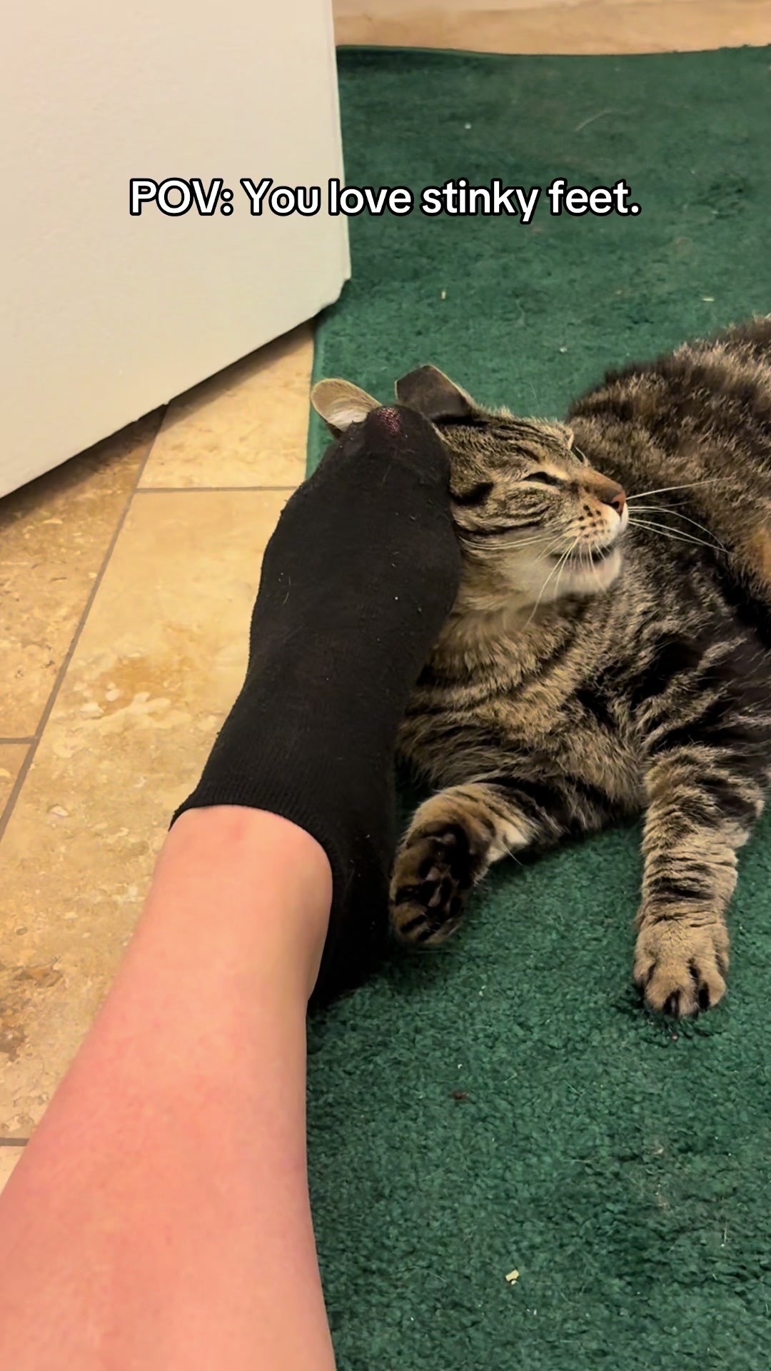 @userCas&Cat
