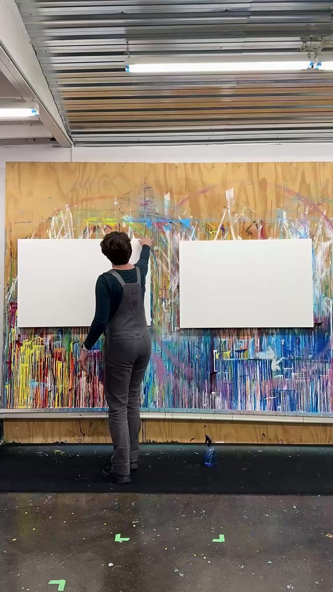 @AmyShackletonArt