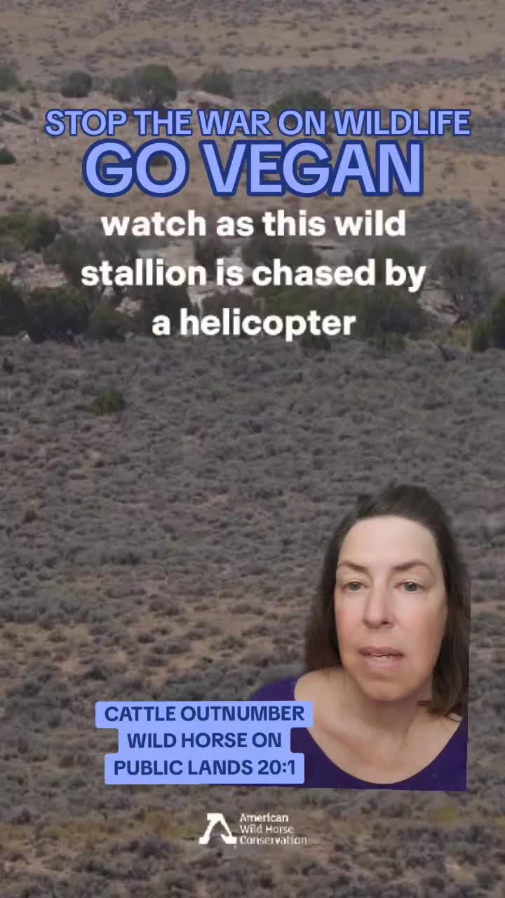 @BLIND2ABUSE