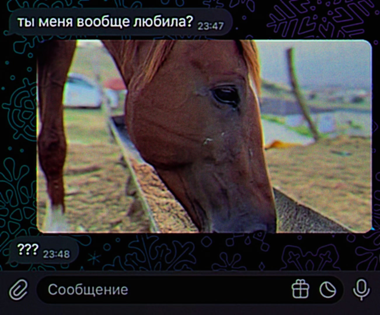 @gsnva