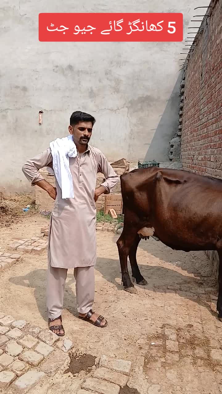 @Farming and Business Ideas