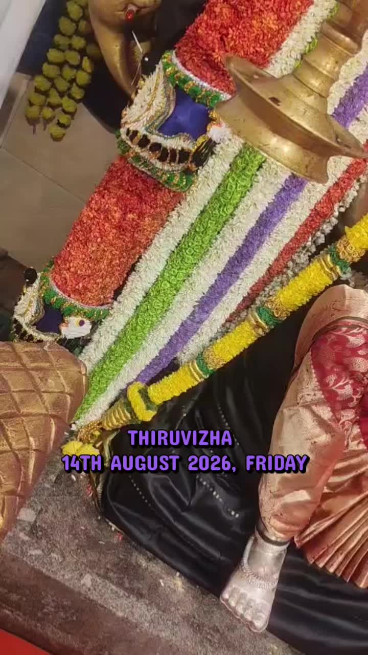 @🌺 Lin 🌺