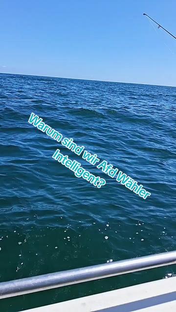 @💙⚓Weserpirat1984⚓💙