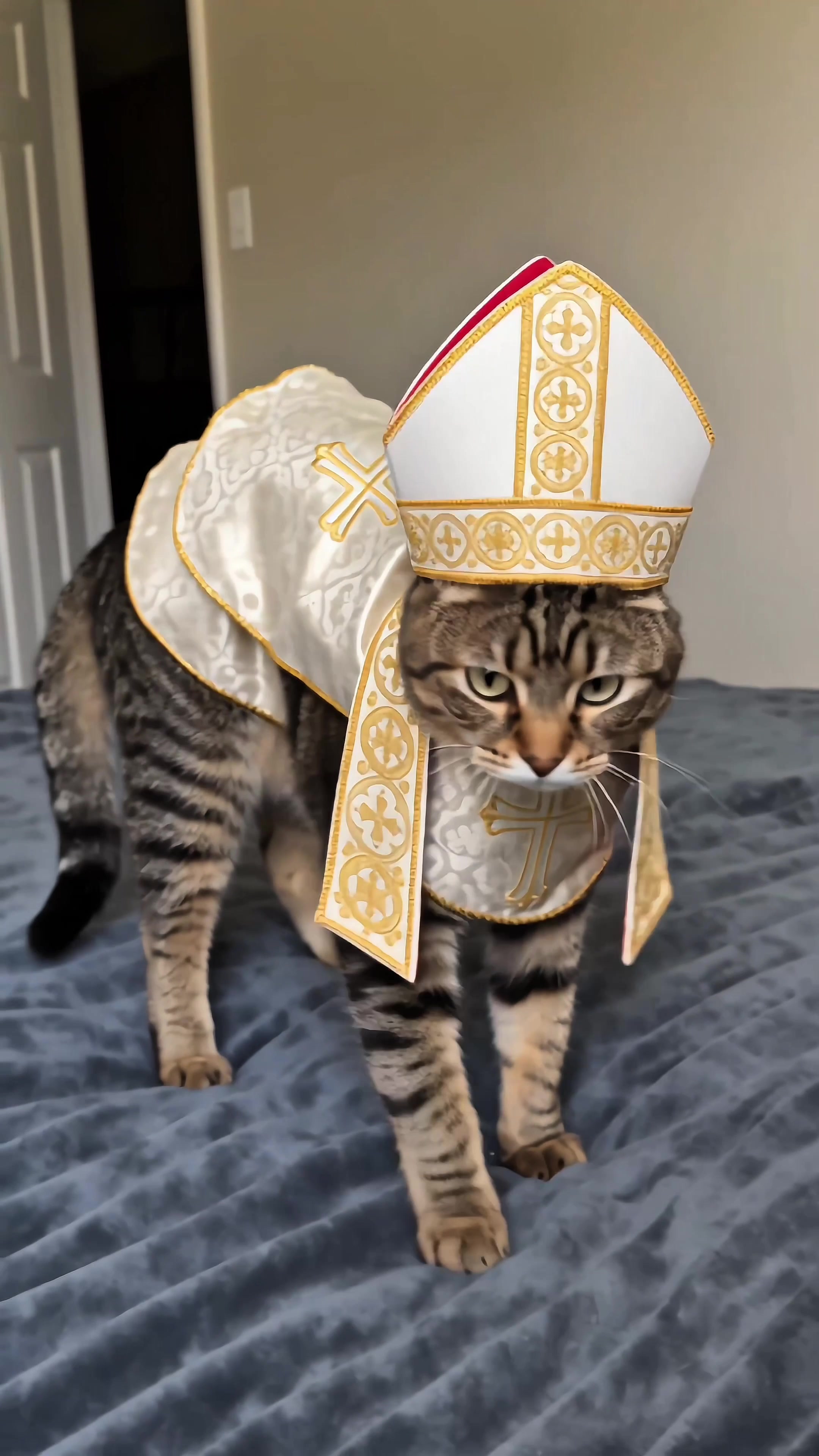 @Pawloween