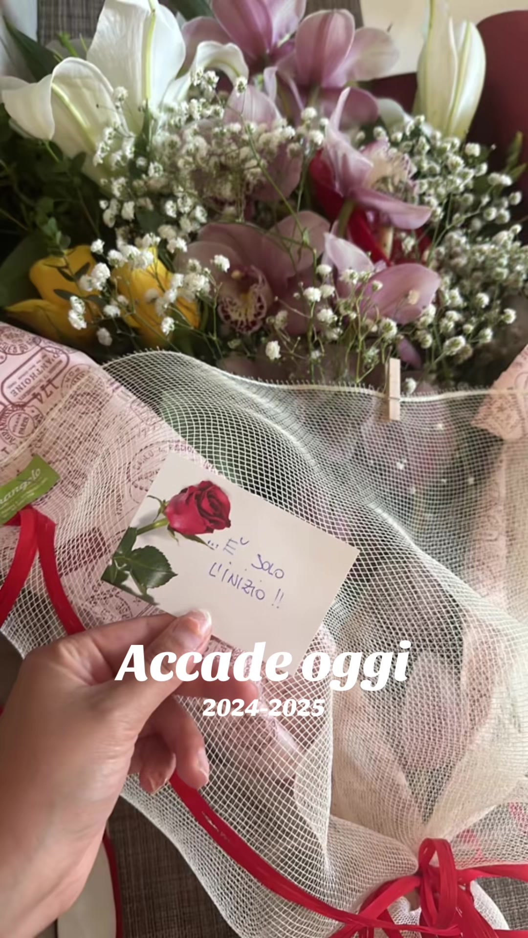 @Raisa Milano