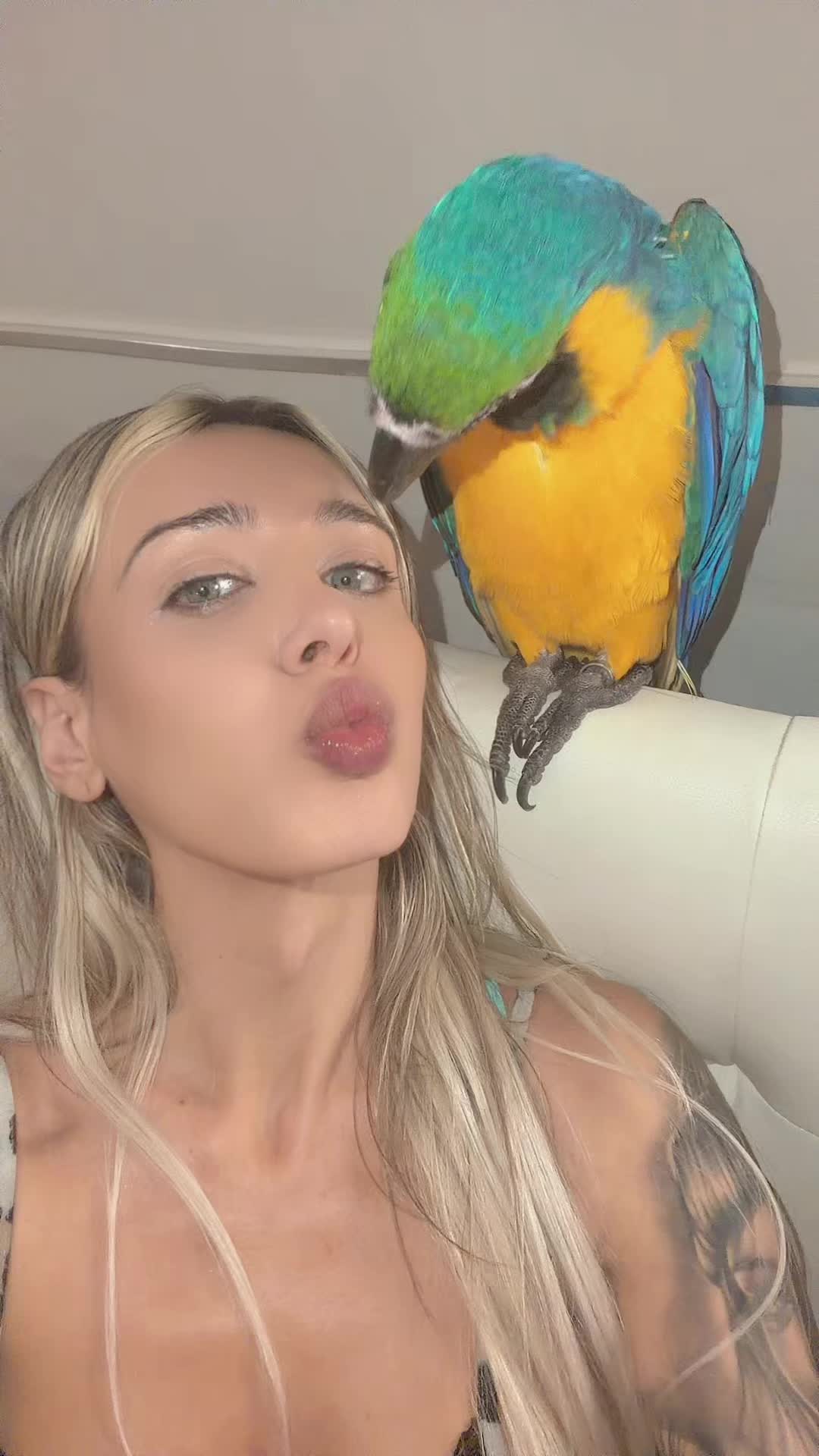 @Jennifer venuti