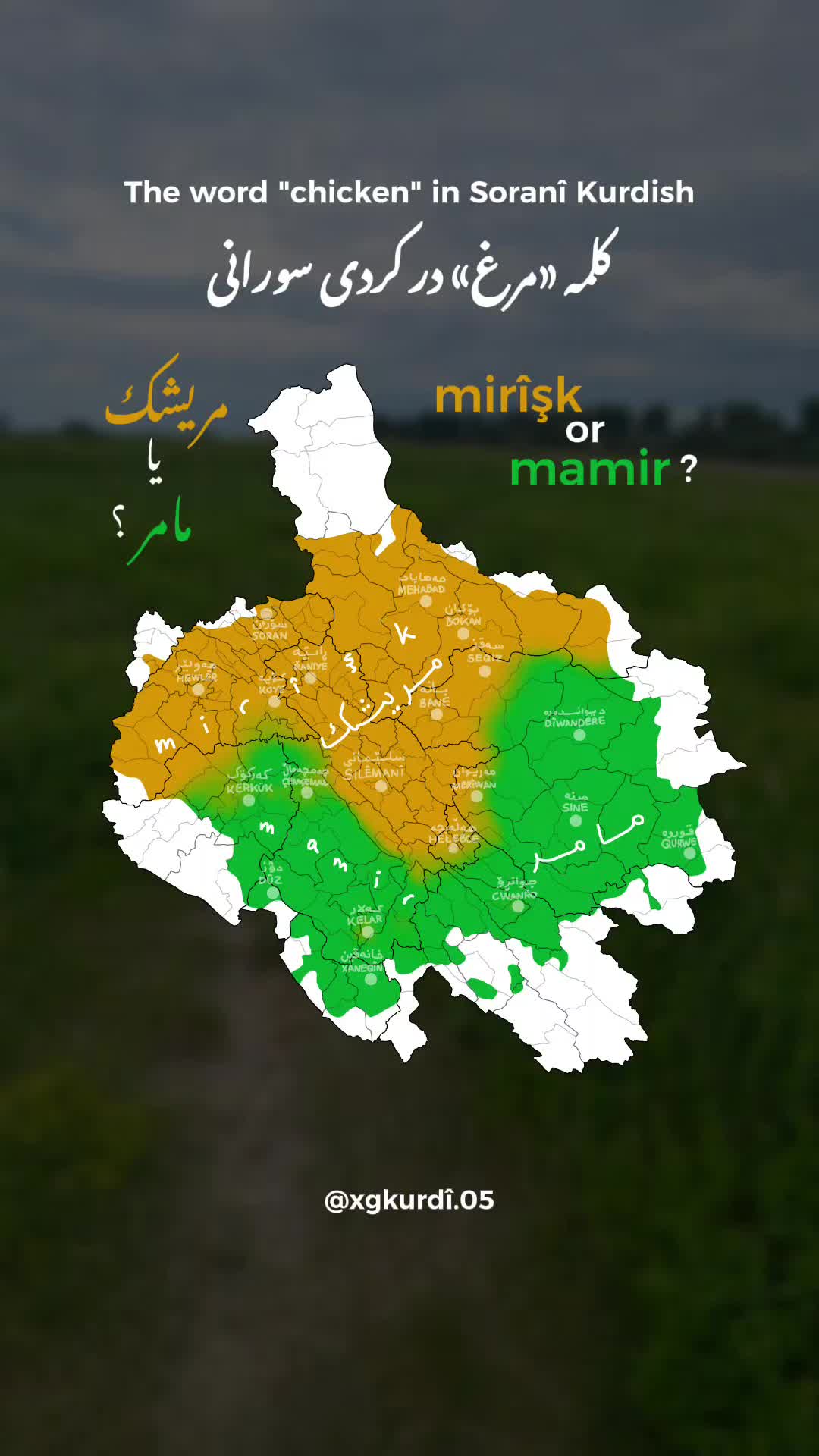 @xgkurdî.05