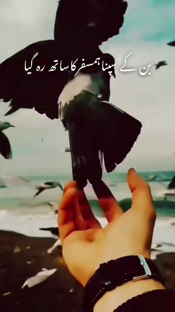 @DIL E NADAN