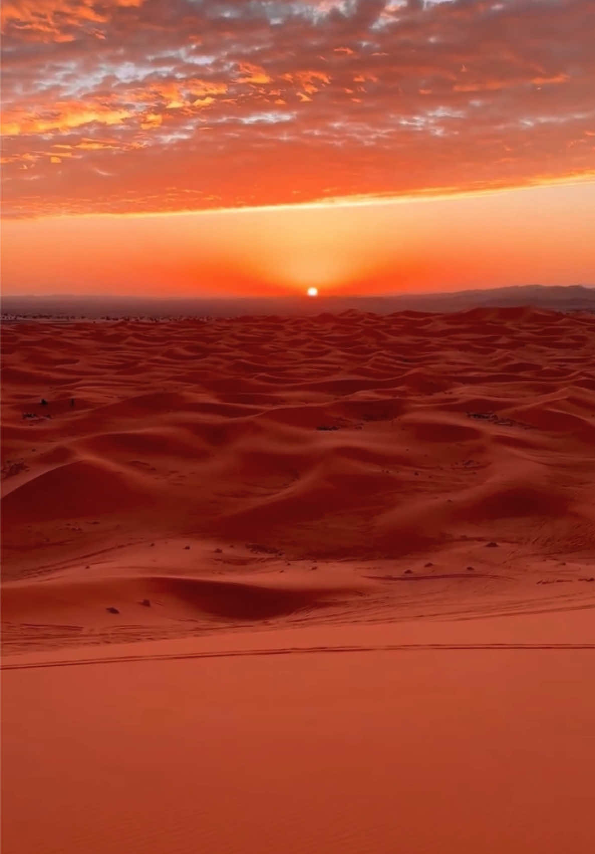 @Merzouga Globe 🌎