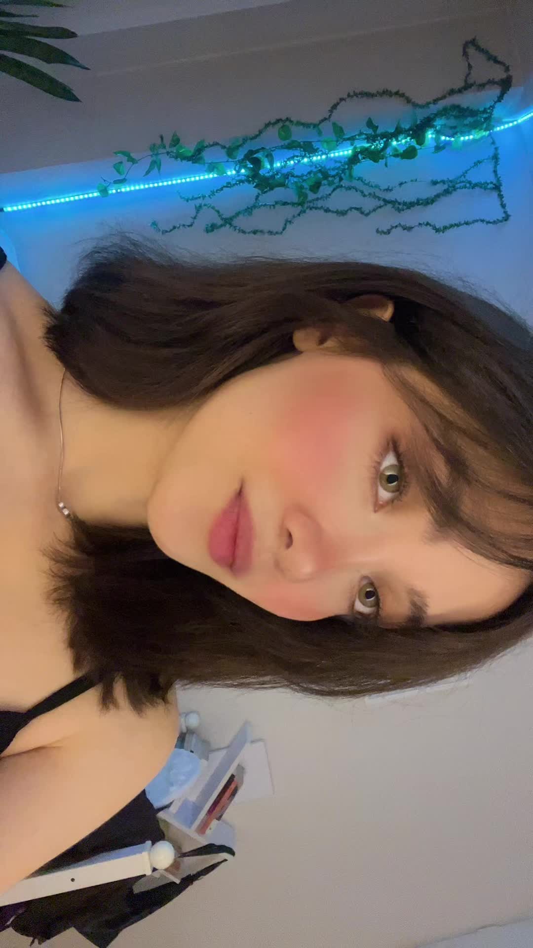 @shimeow