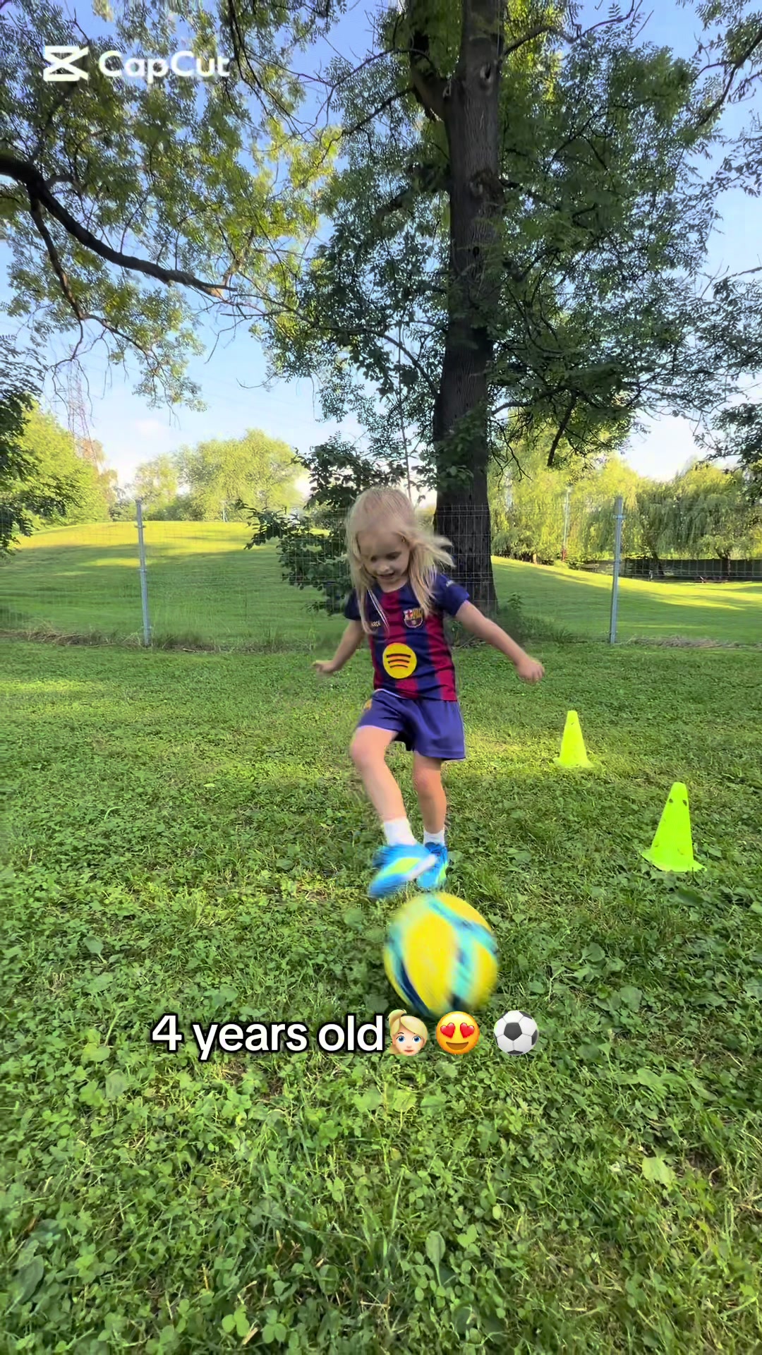@Giorgi Merebashvili
