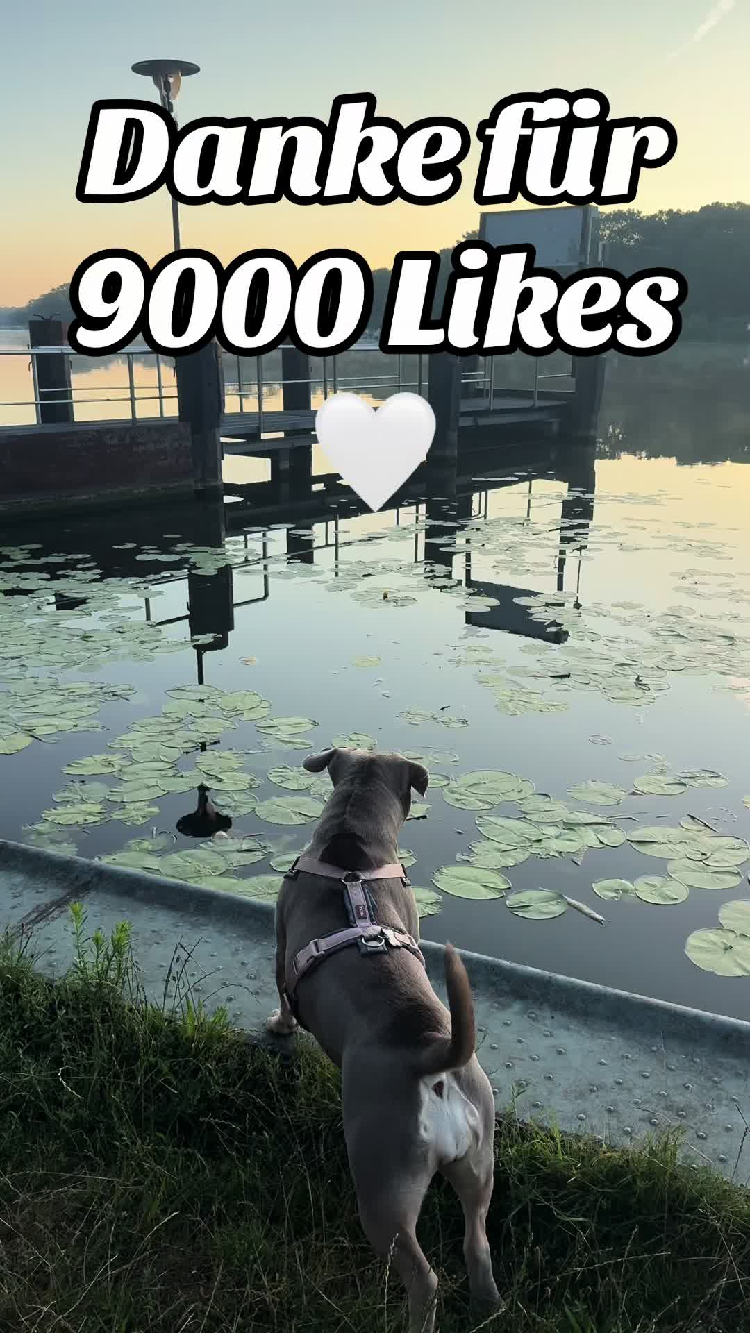 @Milly 🐶🥰