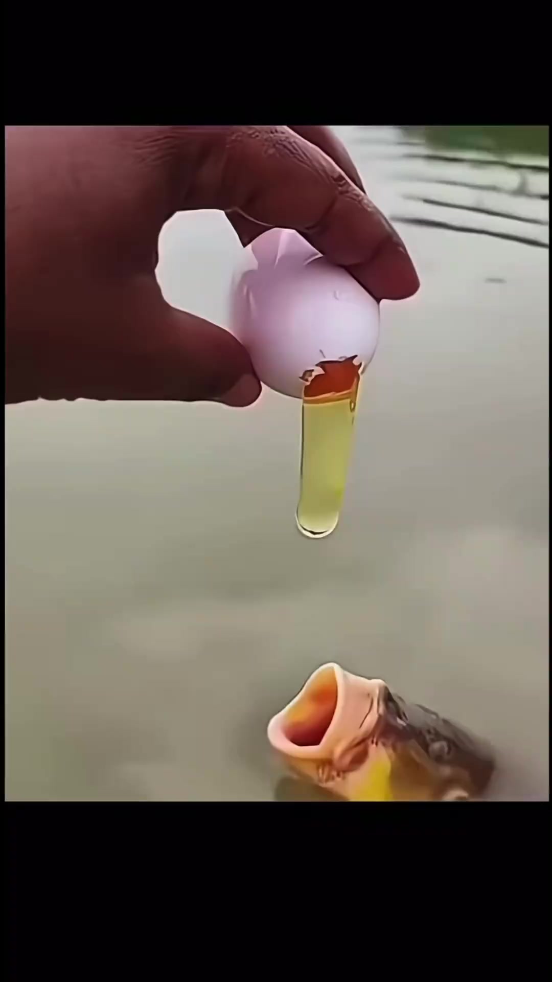 @QuynhKun