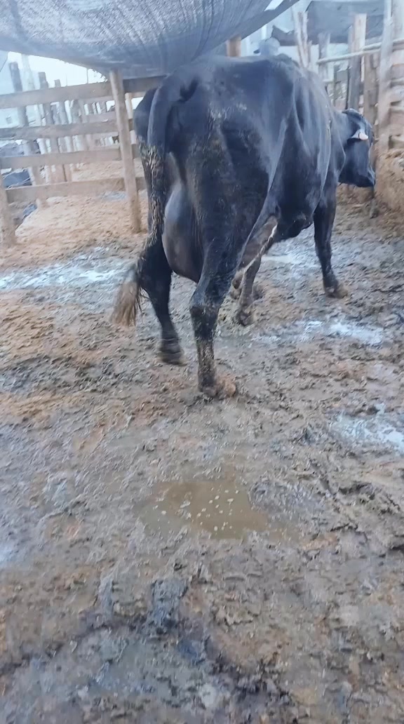@Fazenda Santa Rosa
