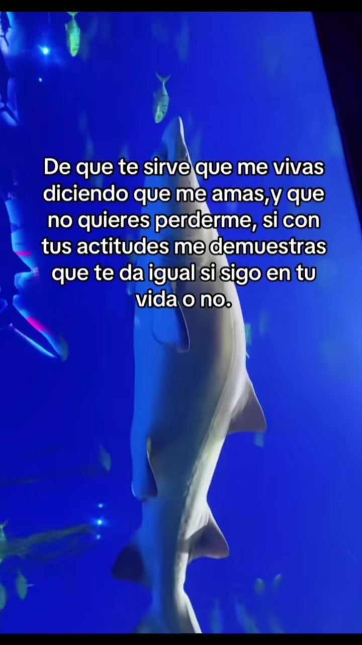 @Iris Cristal García Ocampo