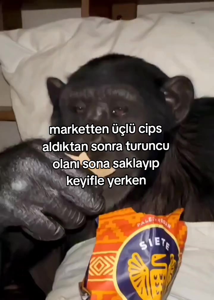 @rolland
