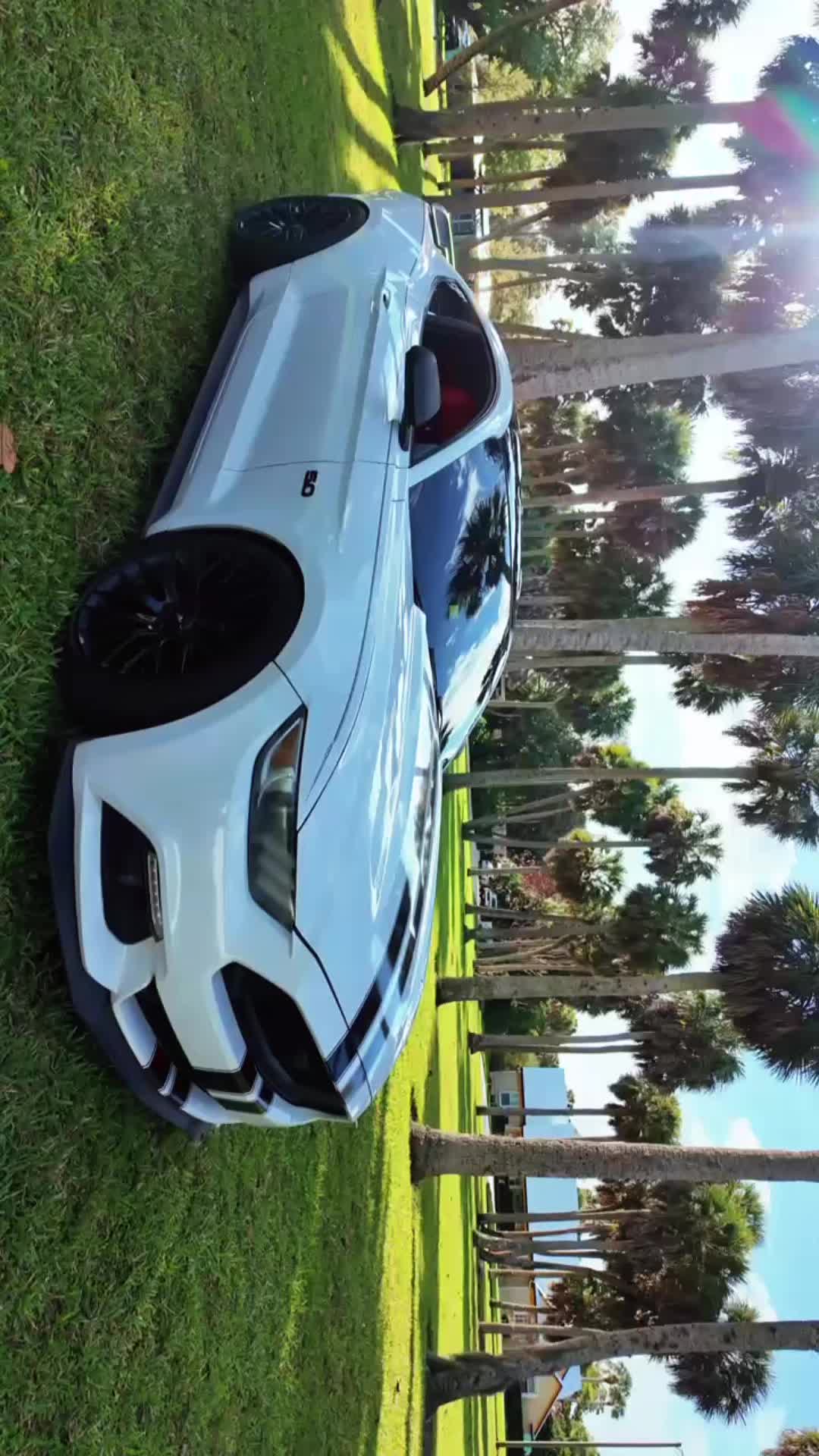 @davidgt869