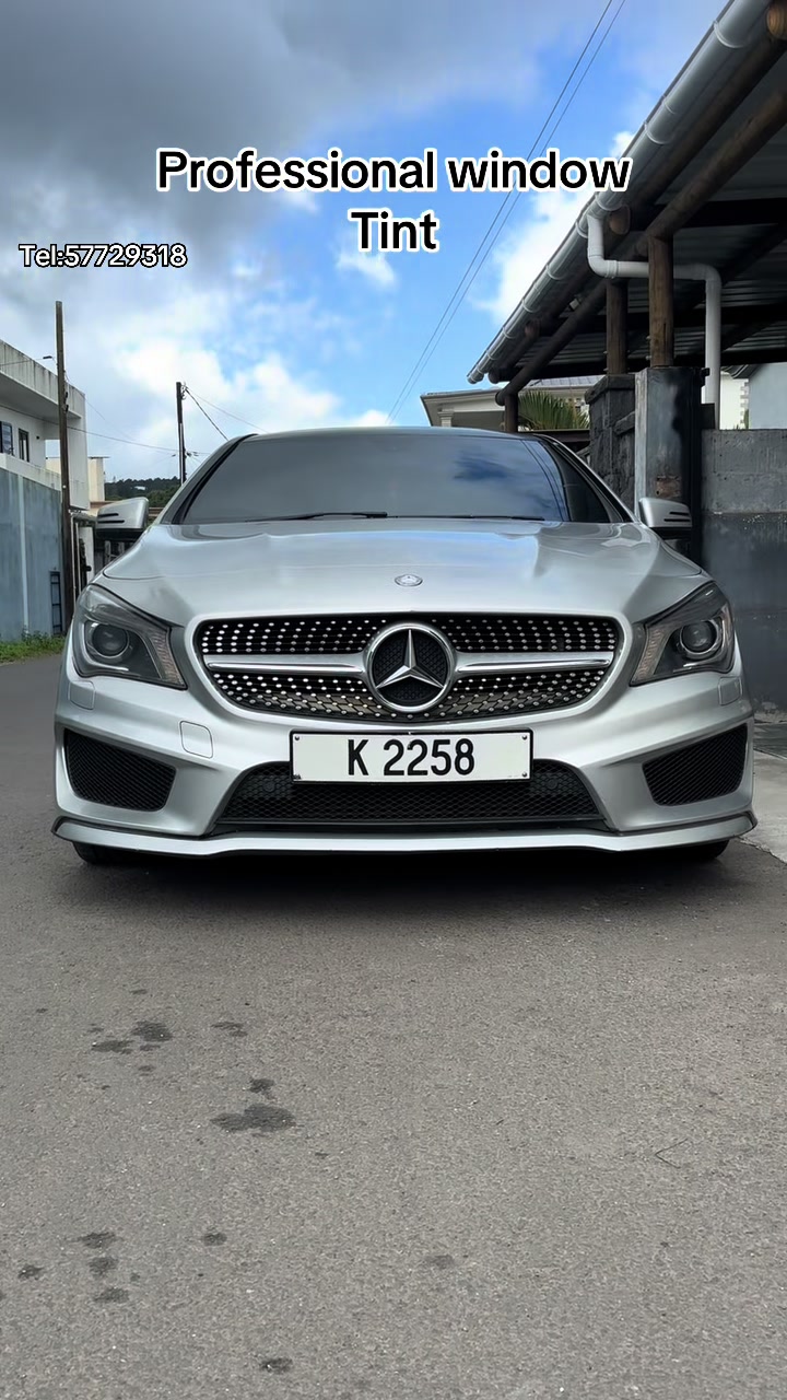 @professional _window_tint