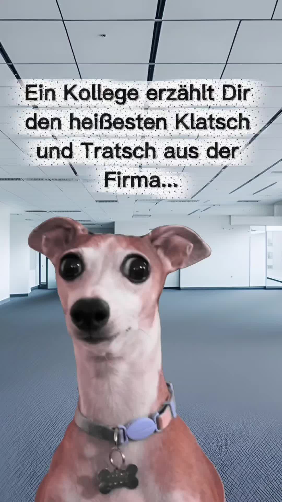 @storfine