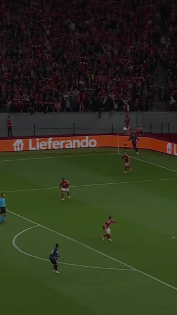 @champions league