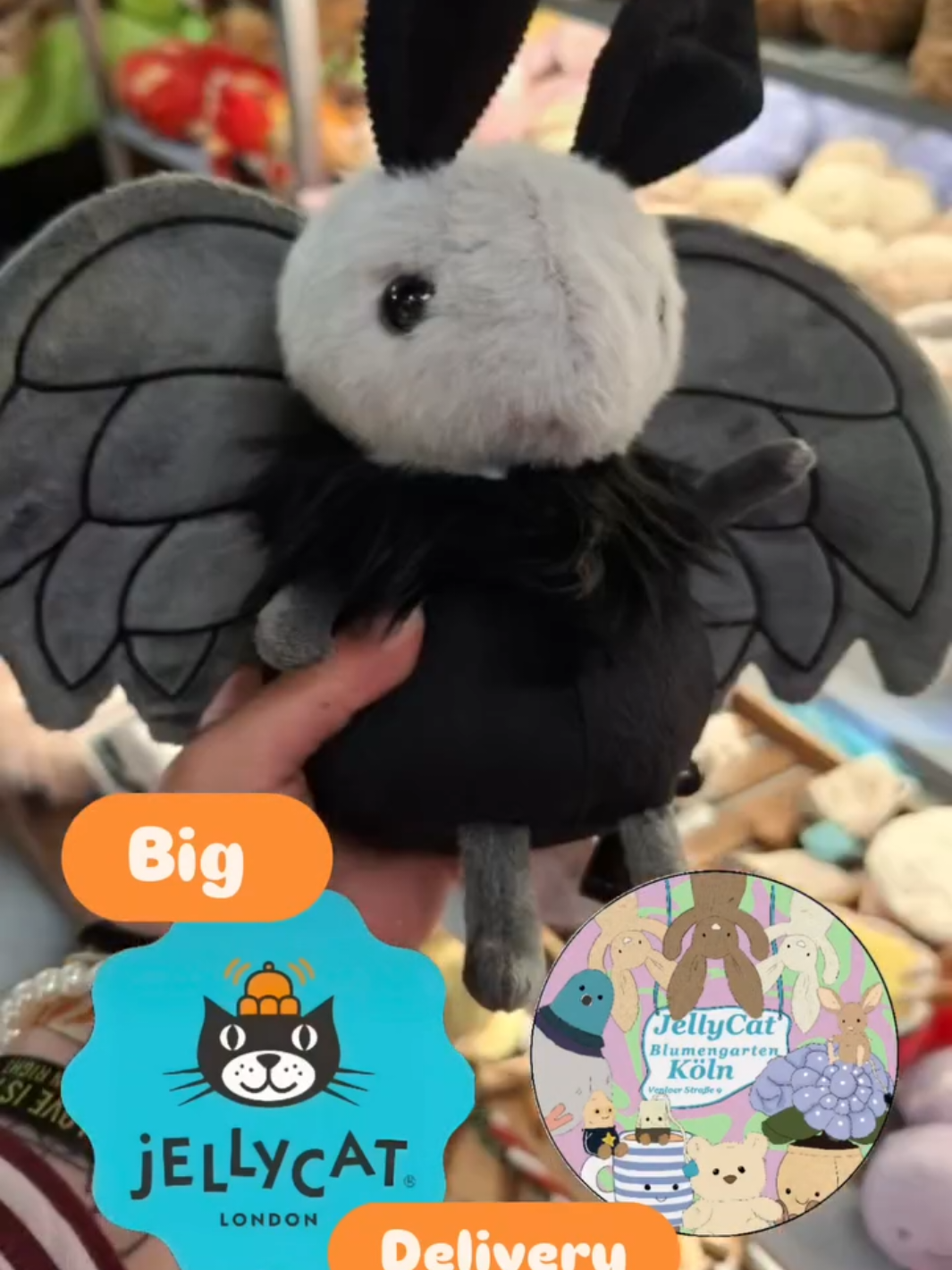 @JellycatDennisBlumengartenK&ouml;ln