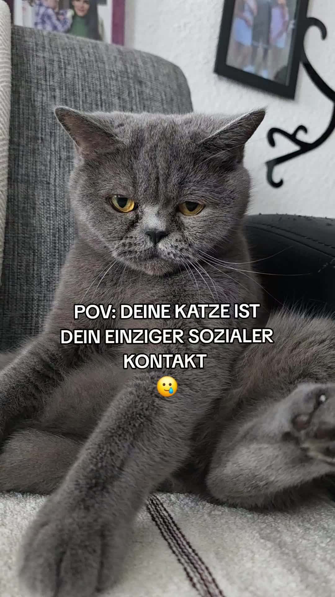 @Rodriguez & Cats 💋🐾