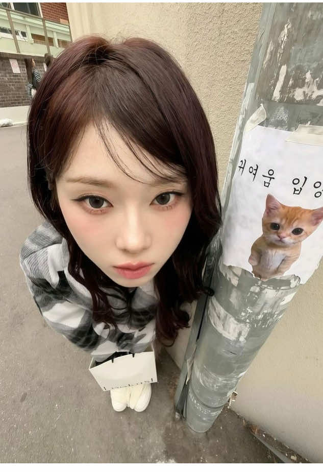 @kocilena ❤︎
