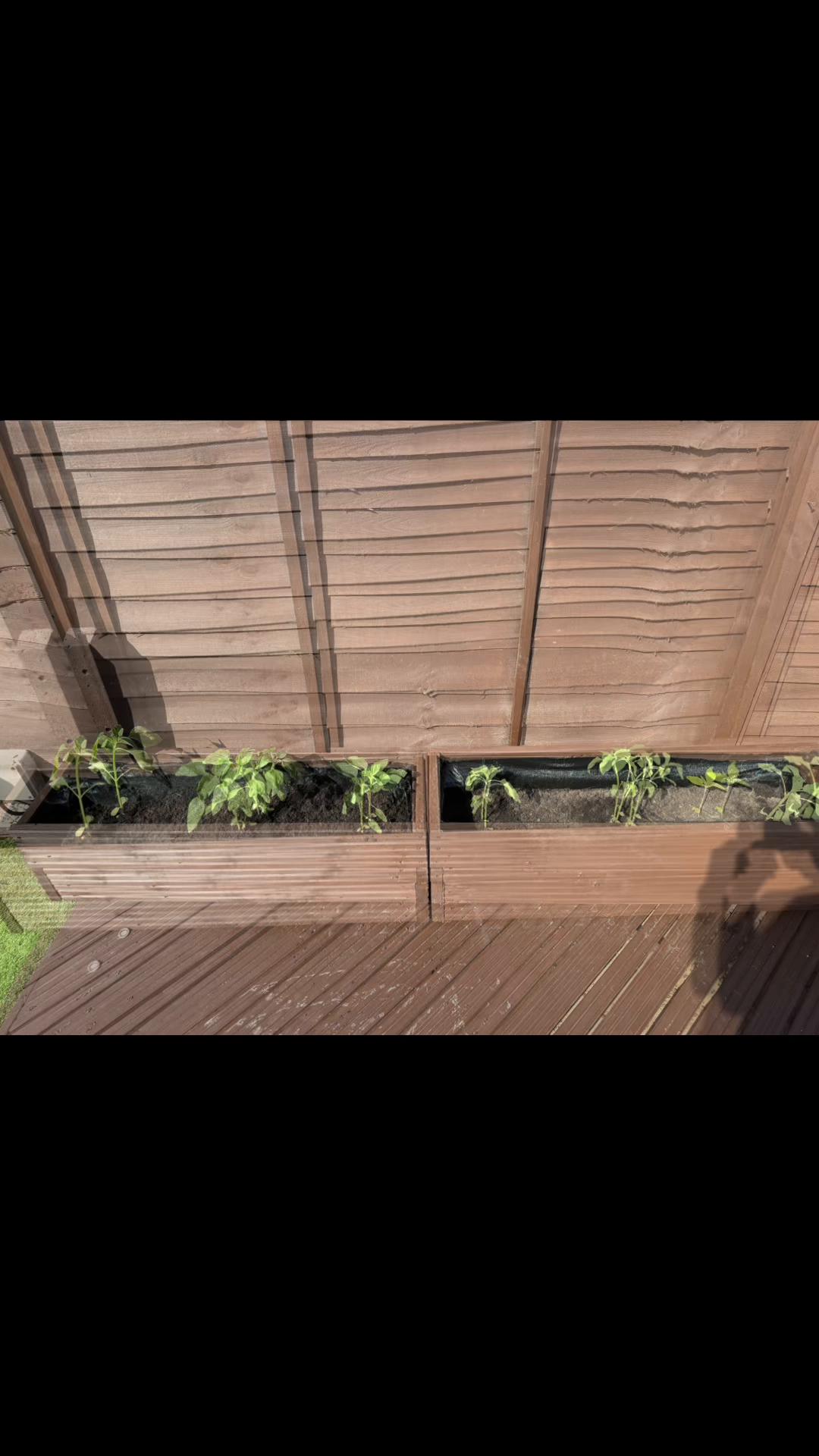 @Granddad Greenhouse