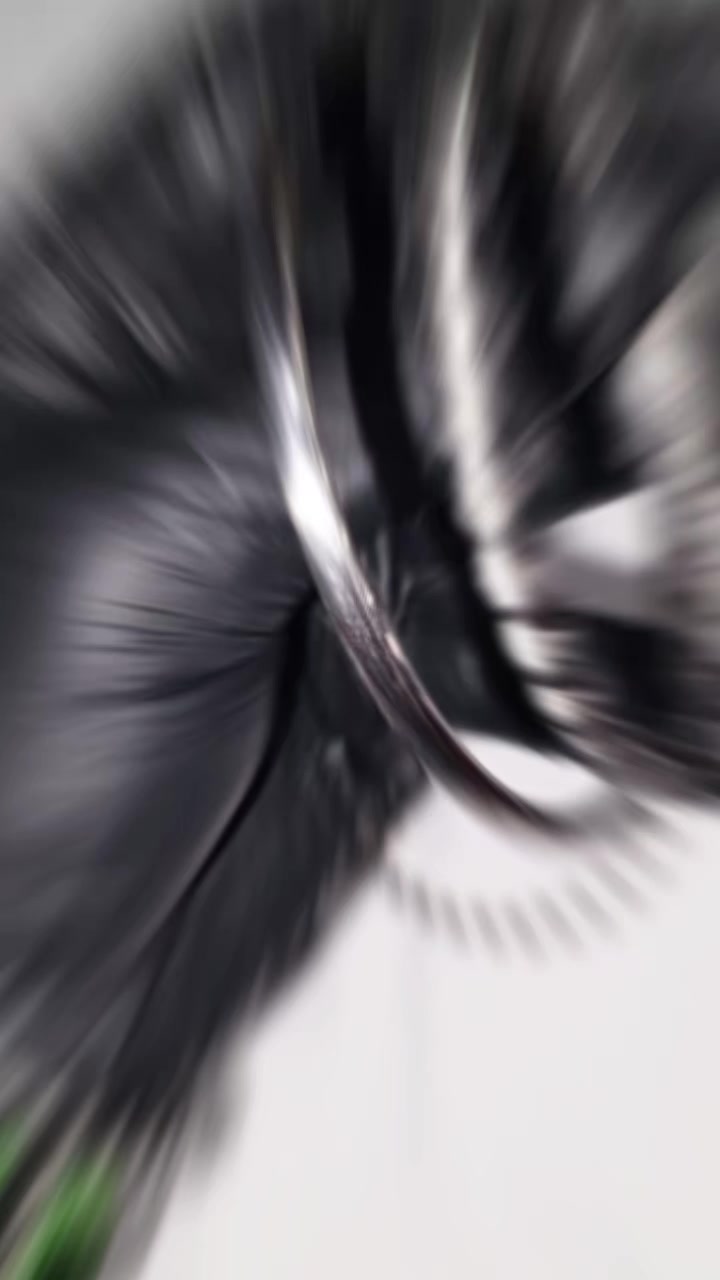 @🟢OGGUN BI⚫