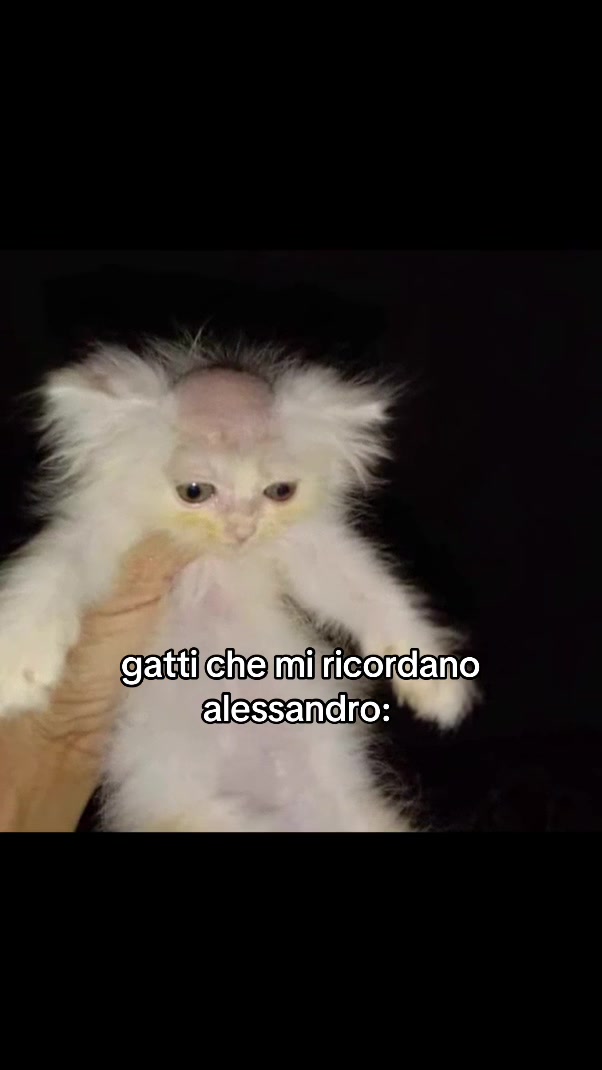 @odio.gli_alessandro