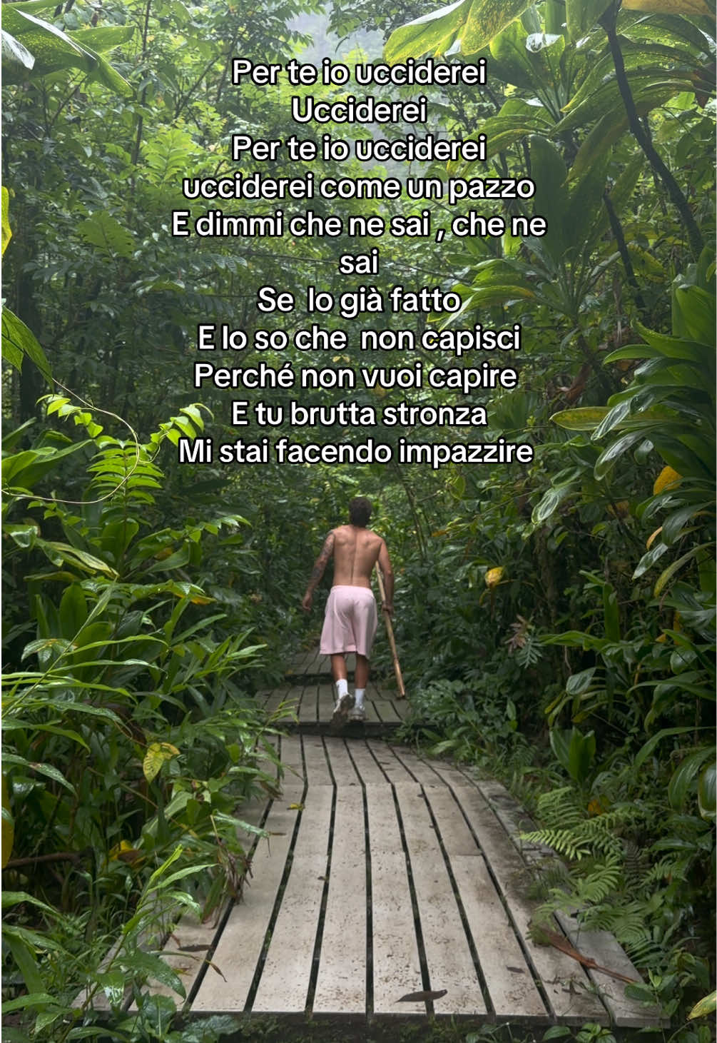 @Coco_____
