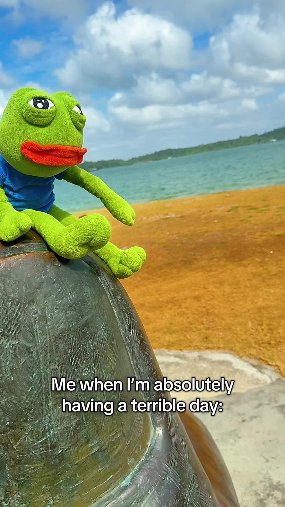 @AdoptAPepe