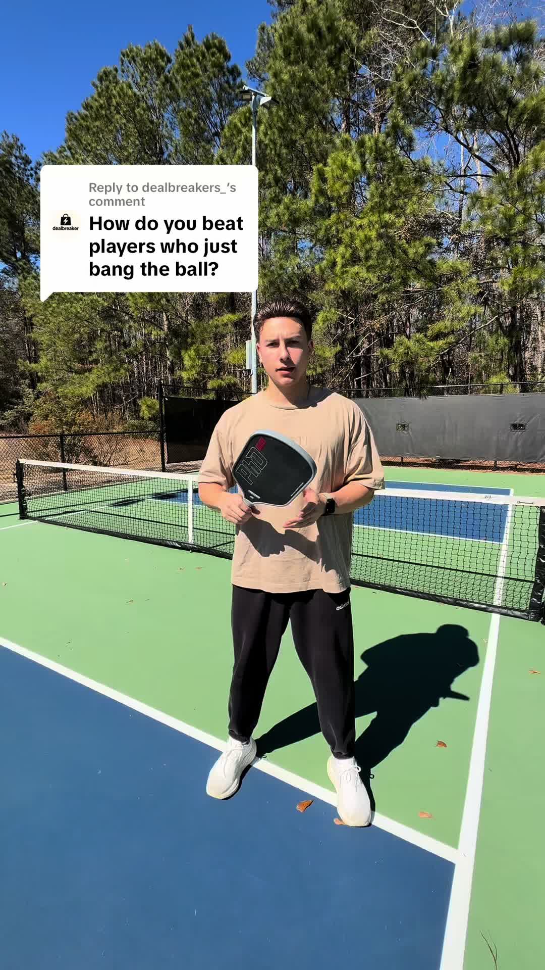 @Professor Pickleball