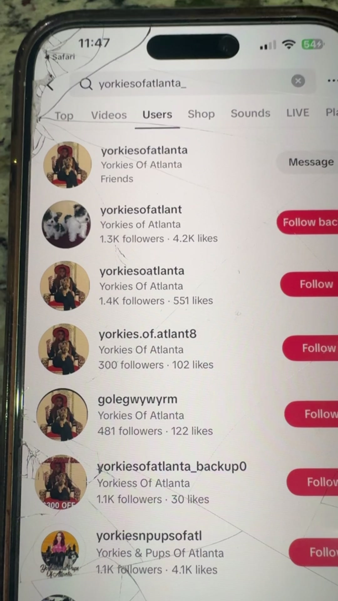 @Yorkies Of Atlanta
