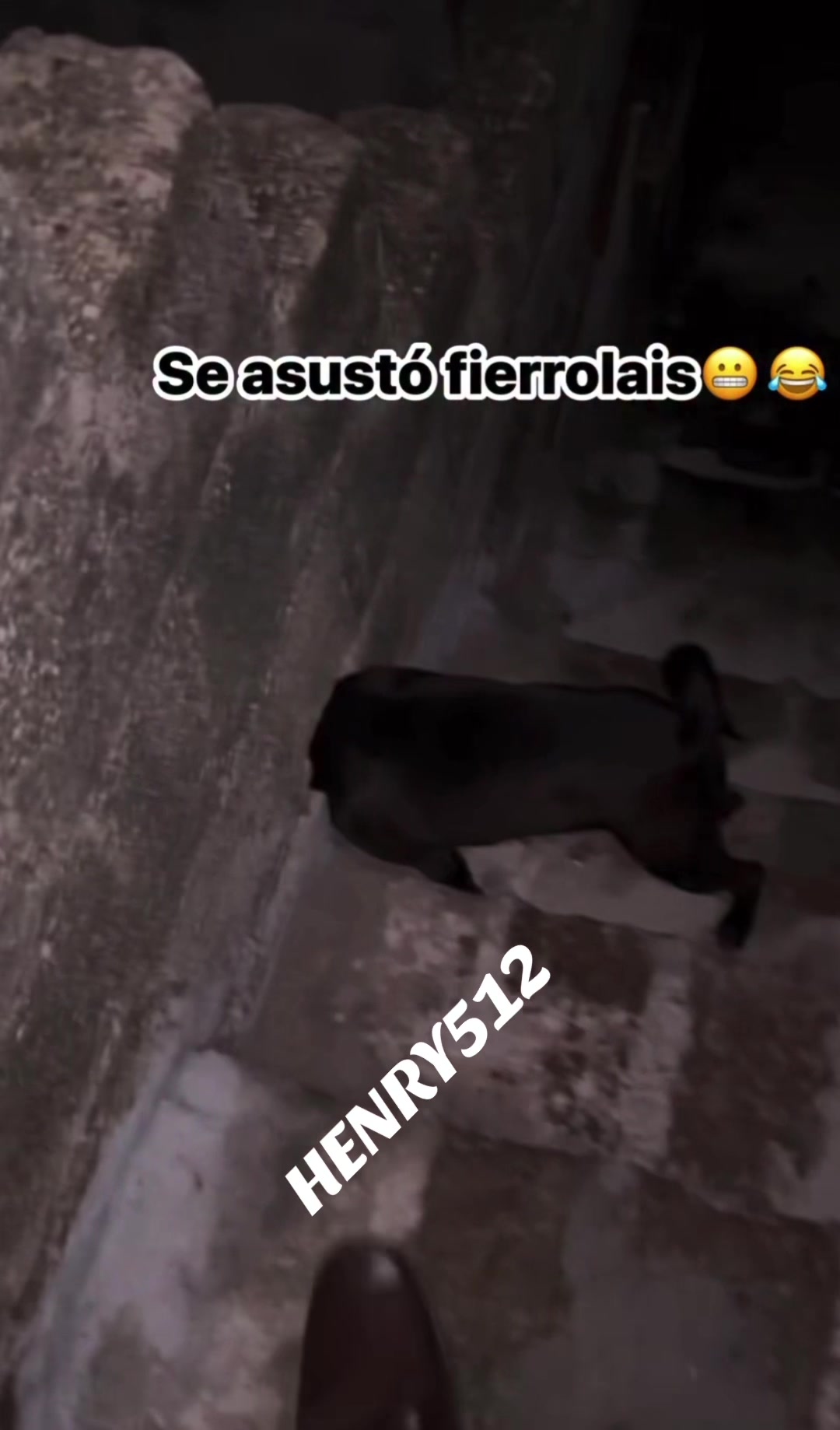 @HENRY512