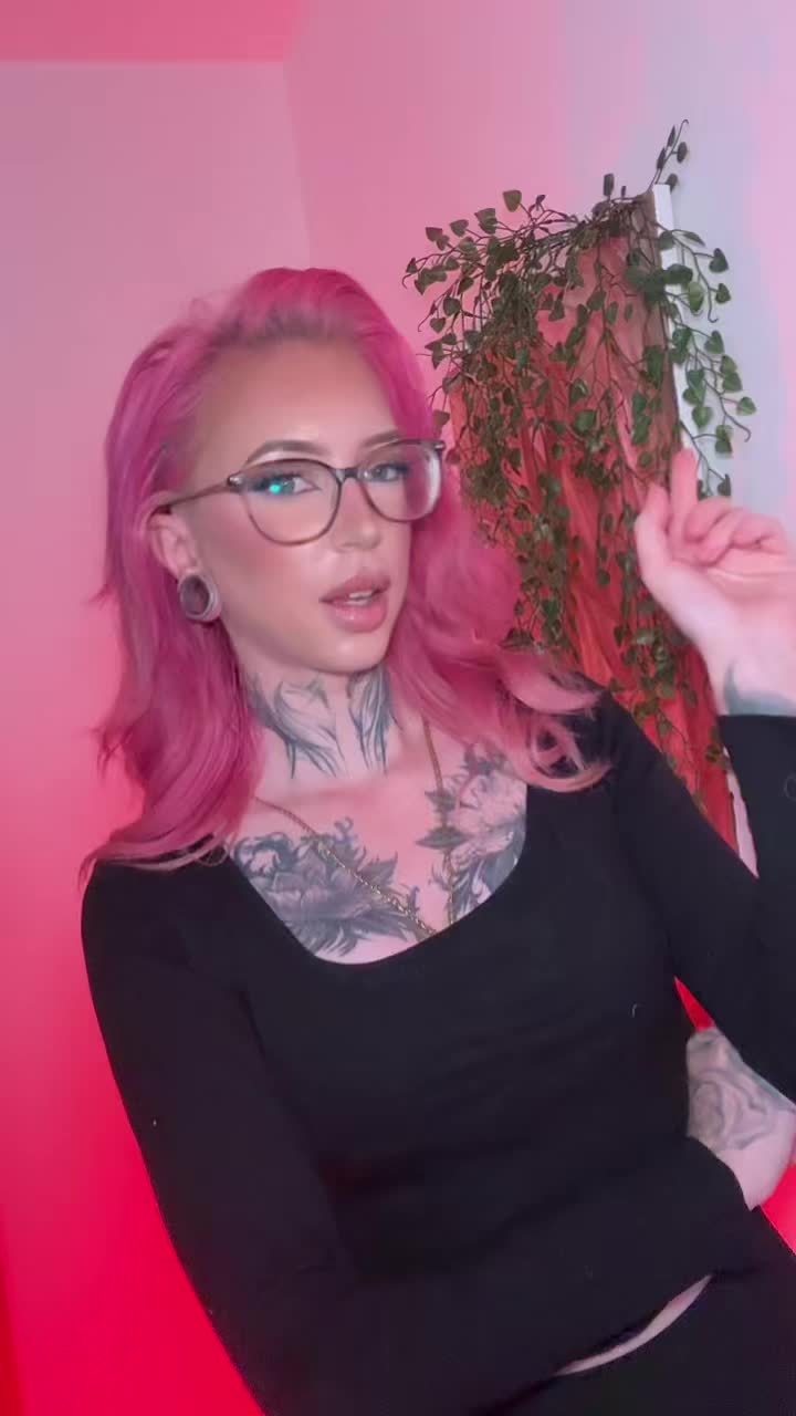 @💗Mrs Dino💗