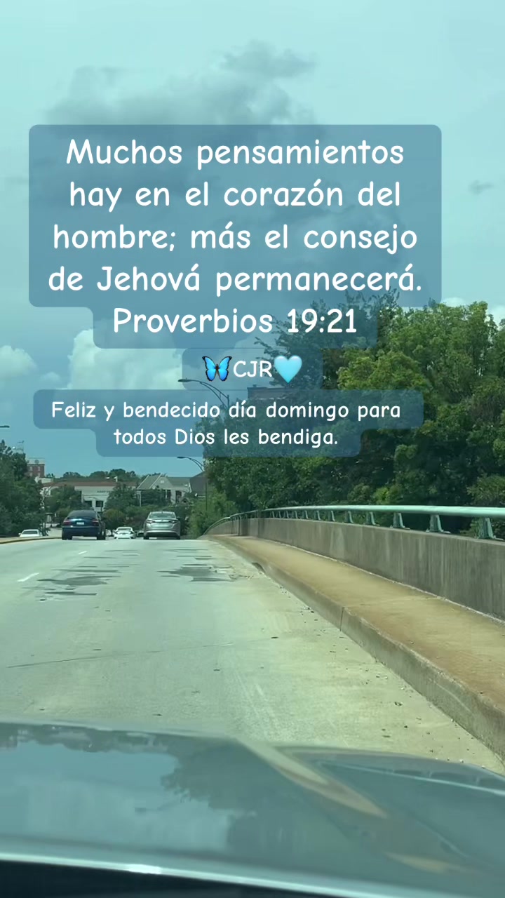 @𝓒𝓮𝓵𝓼𝓪🕊️