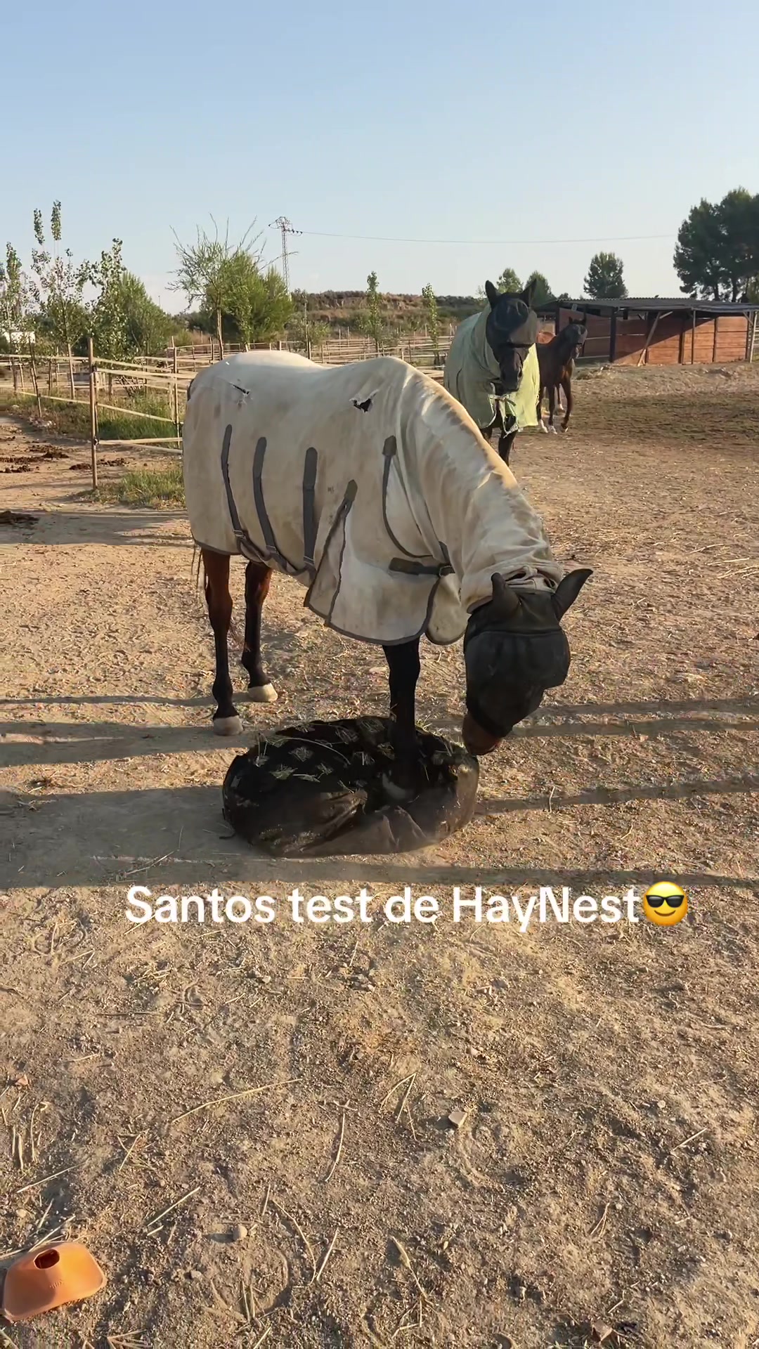 @Liesbeth-EquiViento🐴🇪🇸