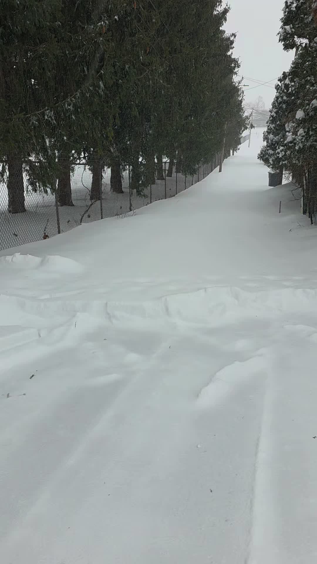 @Borysalvy