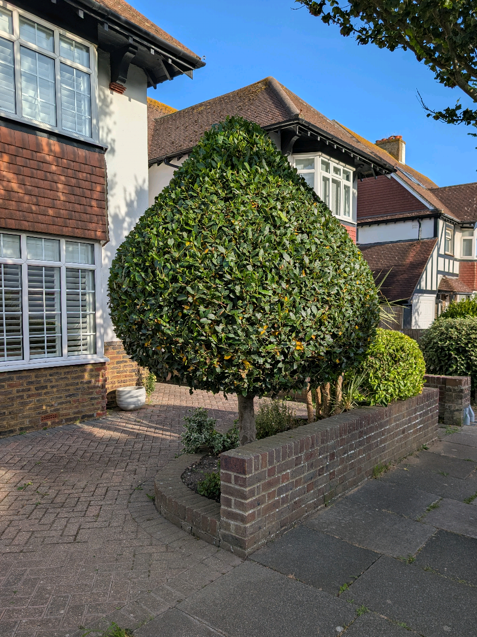 @Gary Hall Garden Services