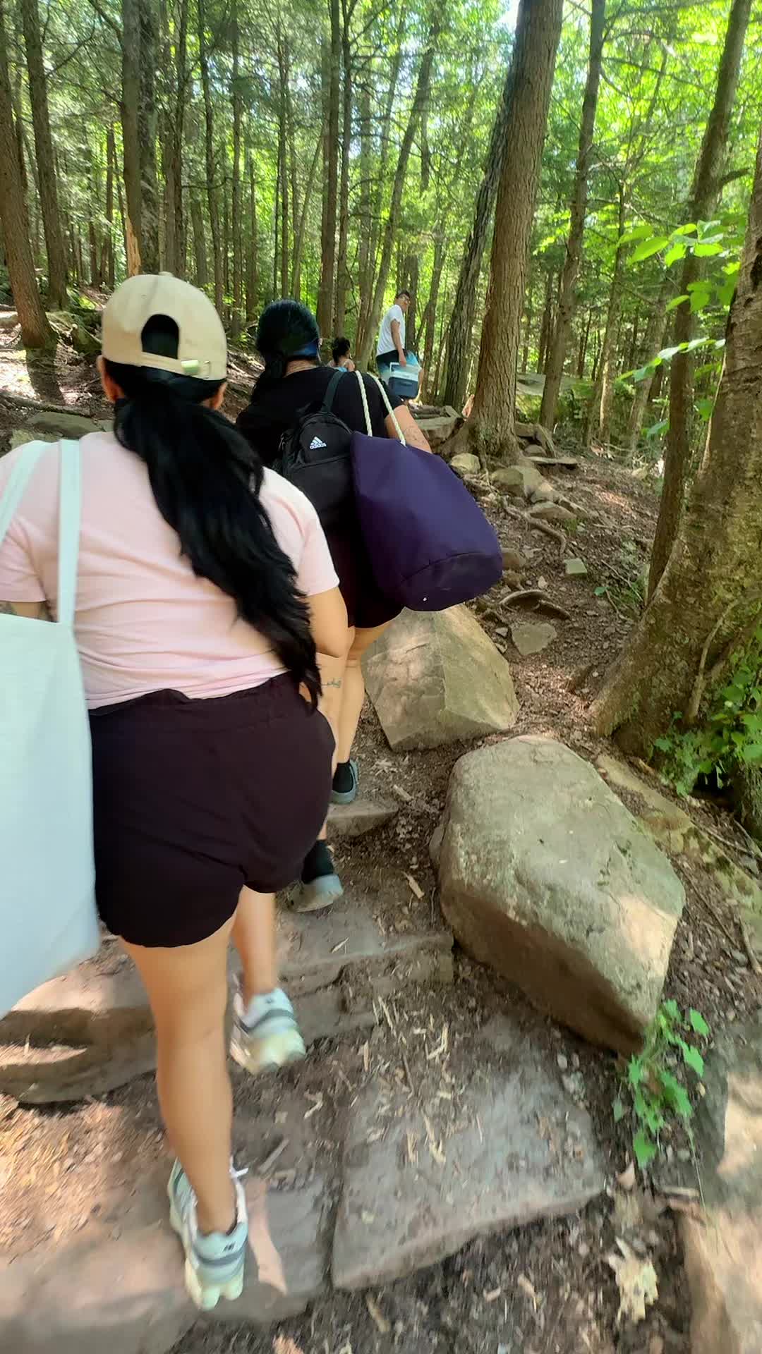 @Lupitax